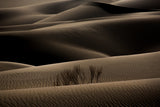 desert2 Poster och Canvastavla