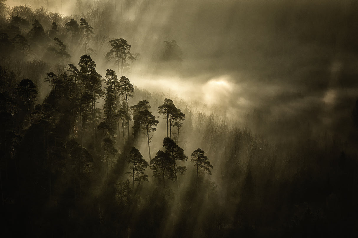 Streiflichter Poster och Canvastavla