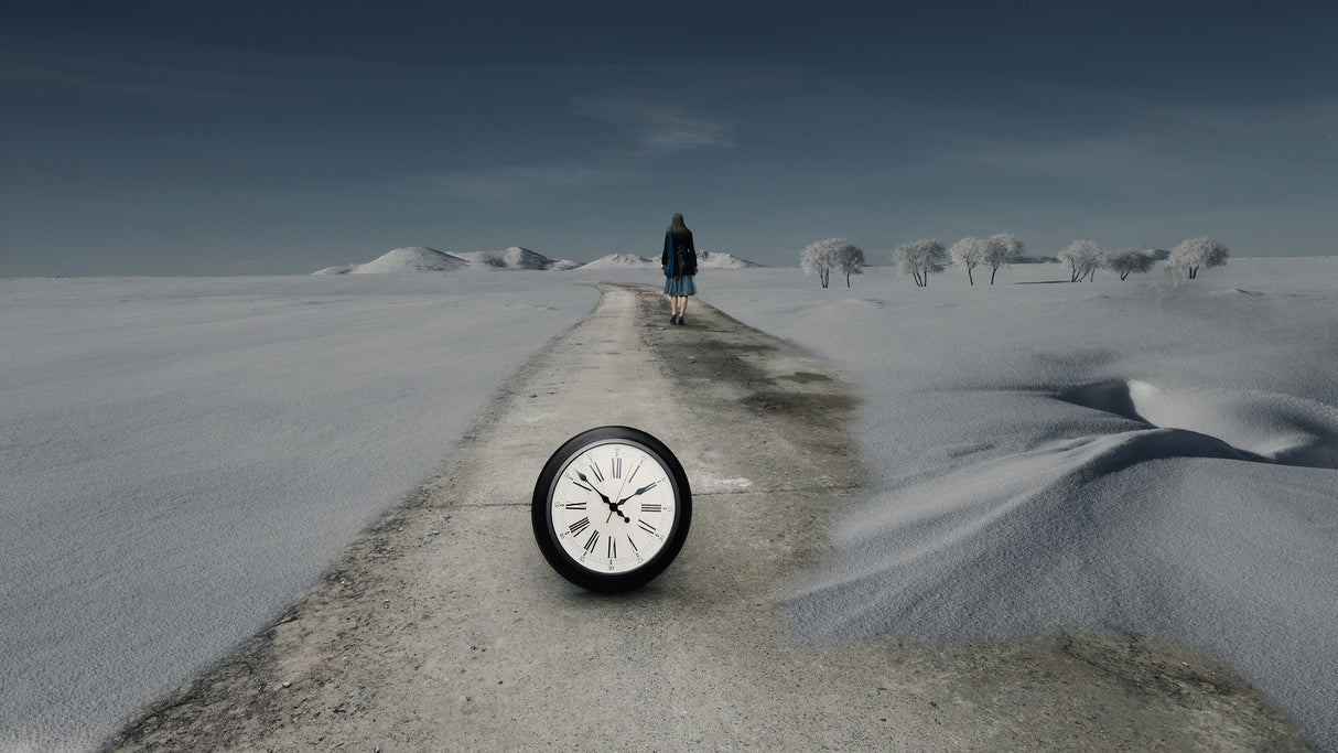 The road Poster och Canvastavla