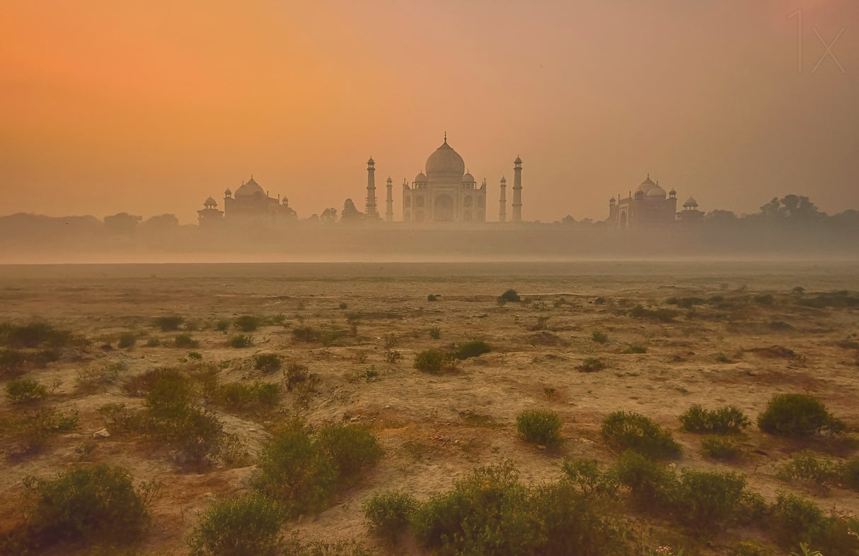 Taj Mahal at Dusk Poster och Canvastavla