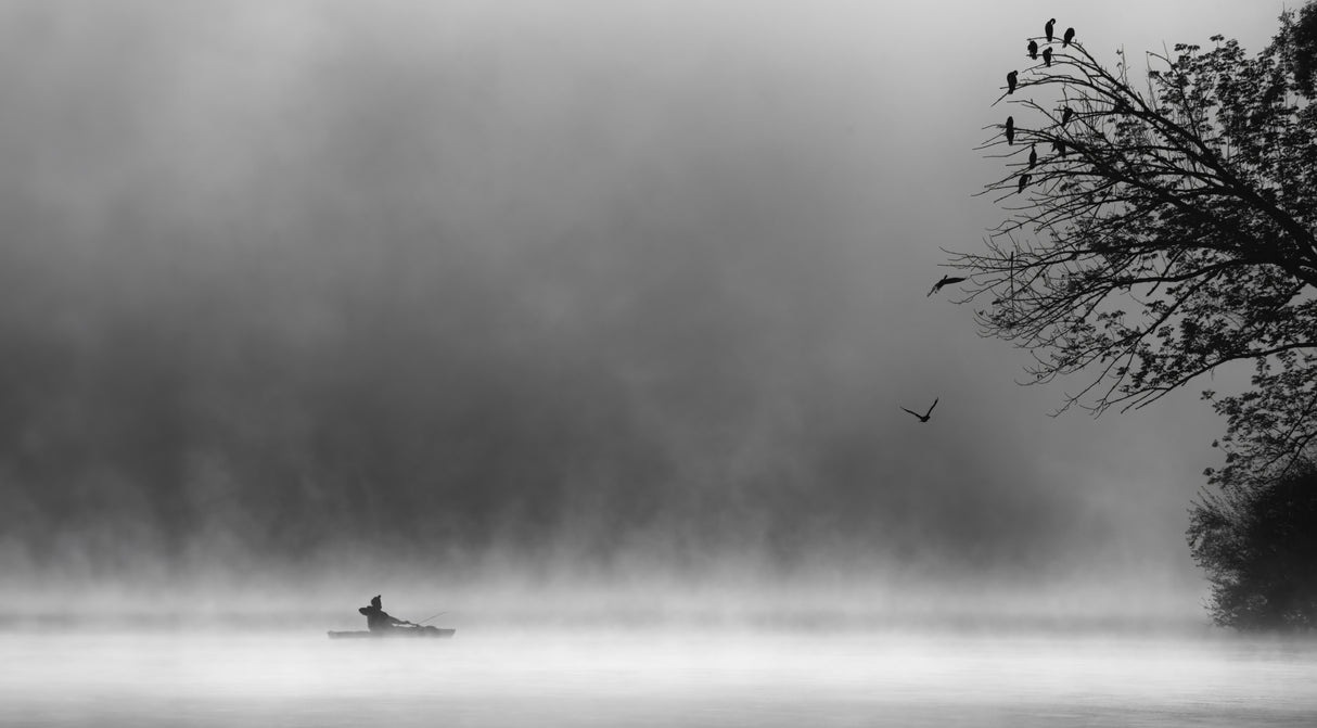 Misty Morning Poster och Canvastavla