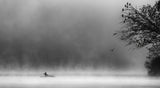 Misty Morning Poster och Canvastavla