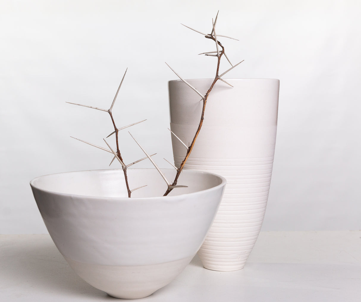 Porcelain and thorns Poster och Canvastavla