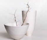 Porcelain and thorns Poster och Canvastavla