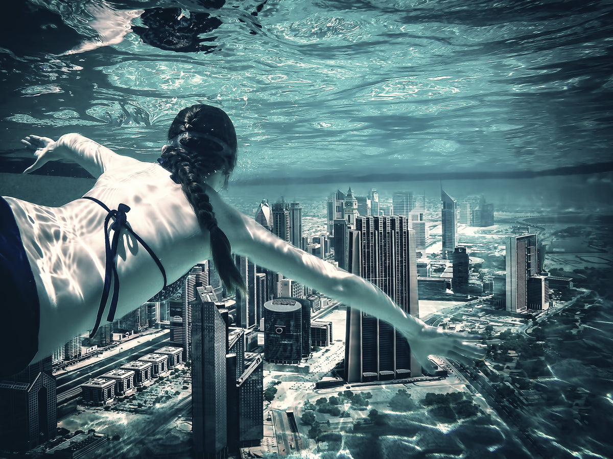 city diver Poster och Canvastavla