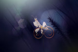 Riding a Bicycle Poster och Canvastavla