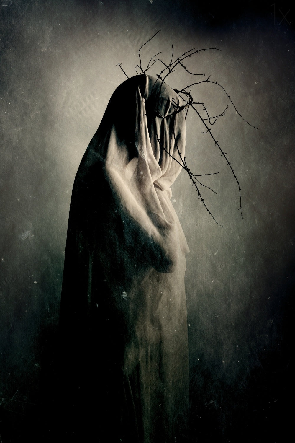 in between the light and shadows Poster och Canvastavla