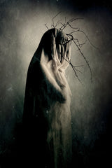 in between the light and shadows Poster och Canvastavla