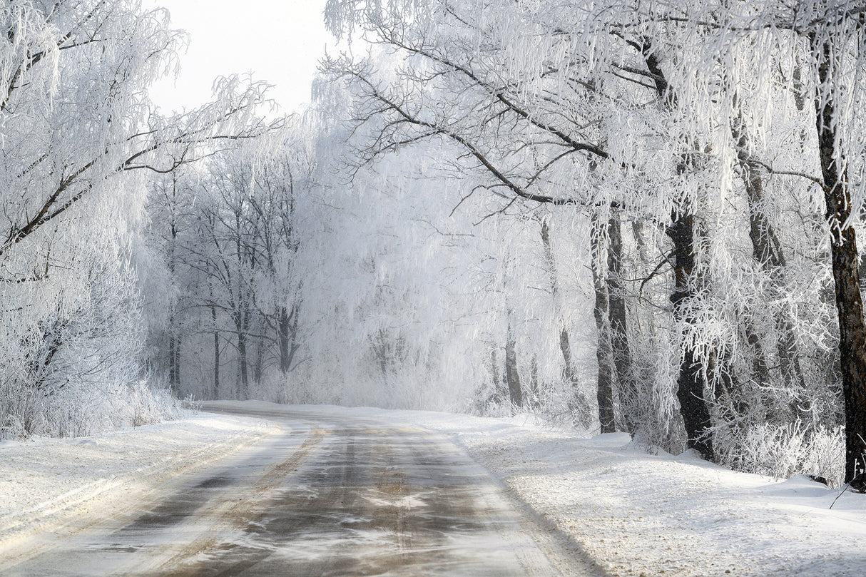 Winter road Poster och Canvastavla