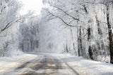 Winter road Poster och Canvastavla