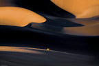 Light Caress Poster och Canvastavla