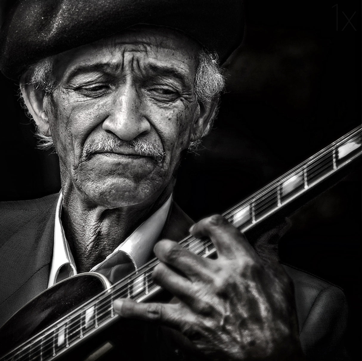 the guitarist Poster och Canvastavla