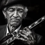 the guitarist Poster och Canvastavla