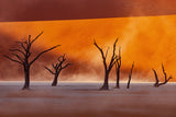Namibia: The Spirit of Wilderness Poster och Canvastavla