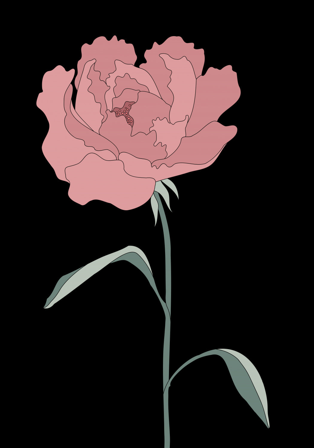 Peony 01 Poster och Canvastavla