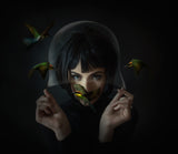 Four little birds Poster och Canvastavla