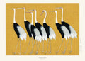 Japanese Red Crown Crane Poster och Canvastavla