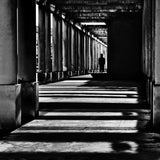 Halls of the Summer Poster och Canvastavla