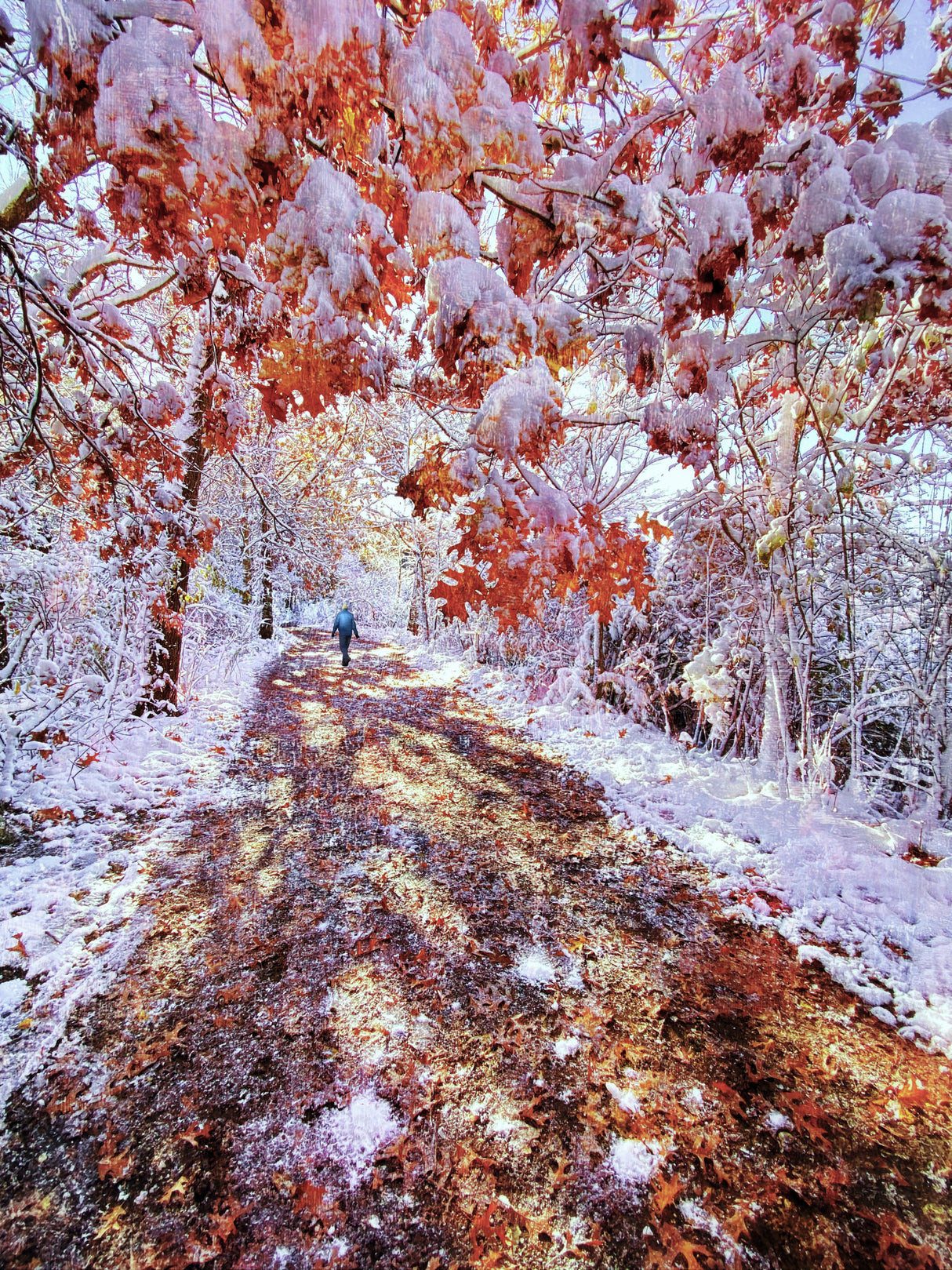 The turn of autumn and winter Poster och Canvastavla