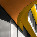 two shades of gold Poster och Canvastavla