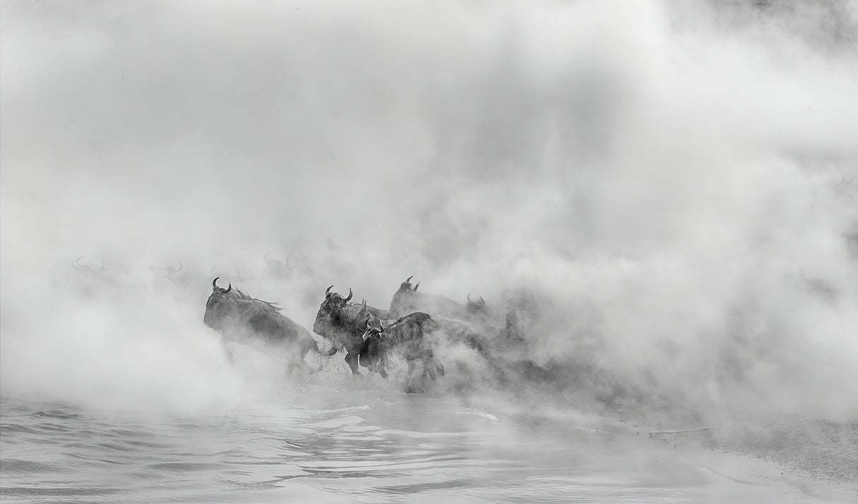 Out of Dust     (Great Migration -crossing river) Poster och Canvastavla