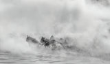 Out of Dust     (Great Migration -crossing river) Poster och Canvastavla