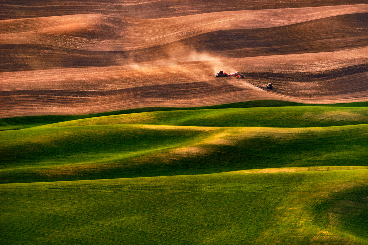 Farmland Poster och Canvastavla