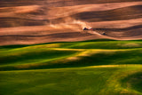 Farmland Poster och Canvastavla
