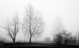 Morning fog in abandoned outskirts Poster och Canvastavla