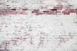 Light Brick Wall Poster och Canvastavla