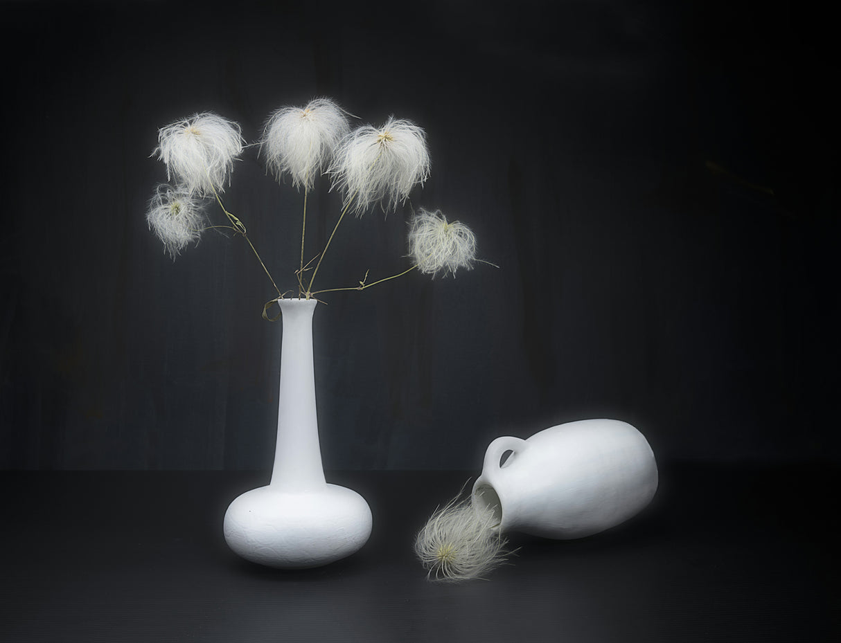 White on black. Poster och Canvastavla