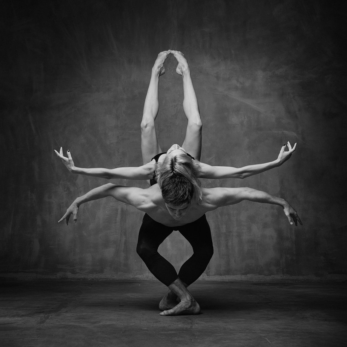 Art Of Movement Series Poster och Canvastavla