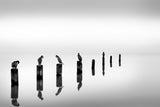 Light and Silence Poster och Canvastavla