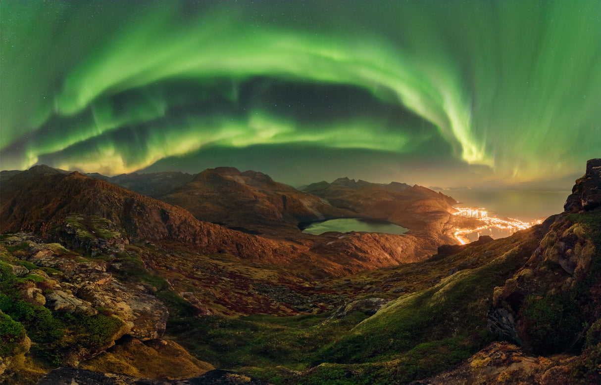 Green Bow Poster och Canvastavla