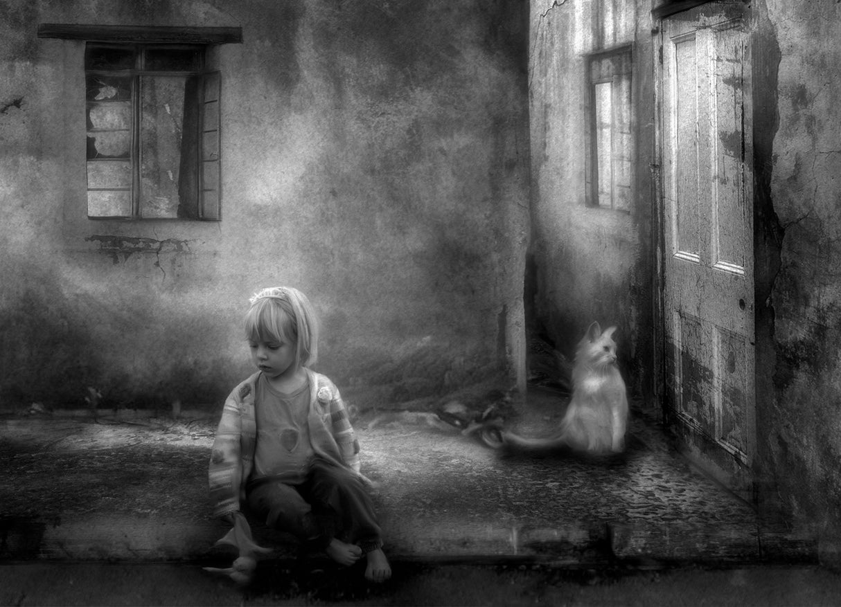 ‘...I can’t find my way...my way home...’ Poster och Canvastavla