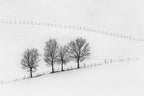 Winter Geometry Poster och Canvastavla