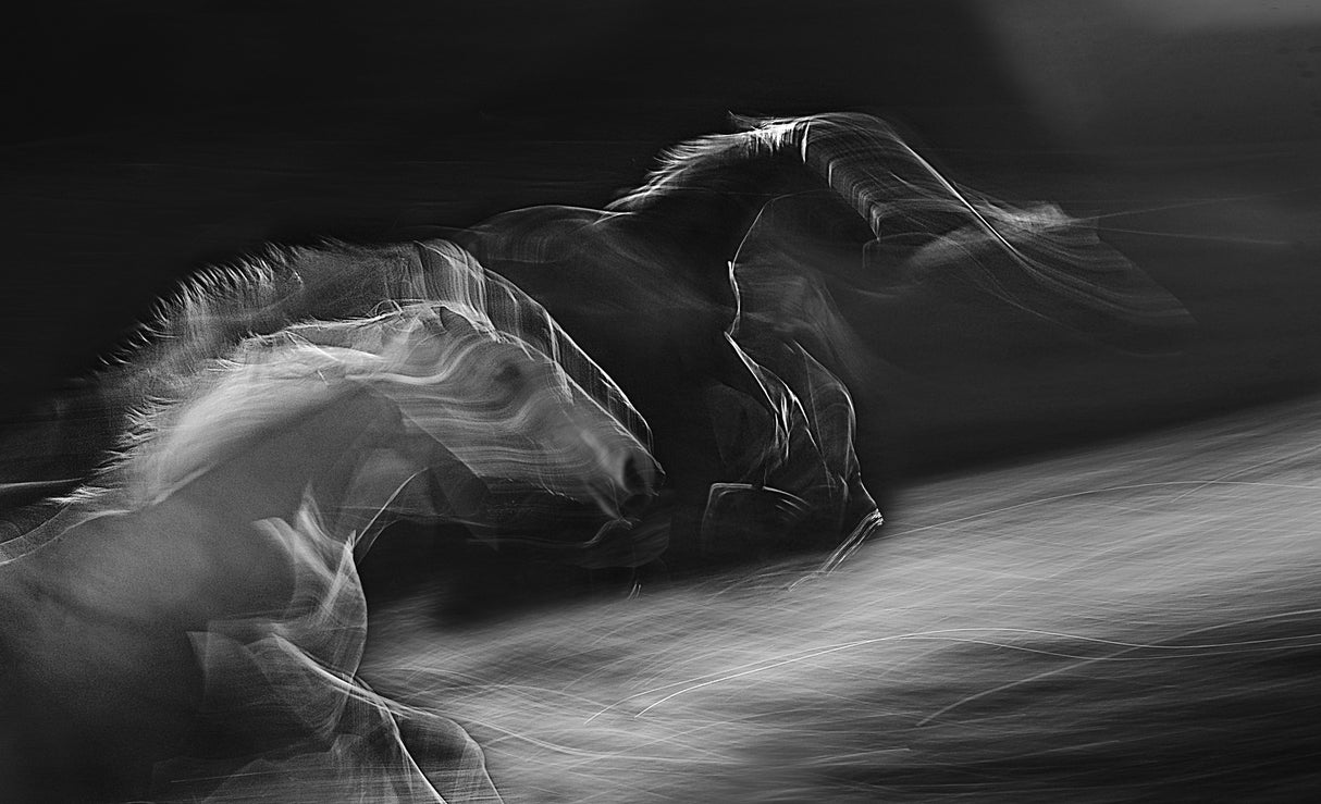 Motion in the light Poster och Canvastavla