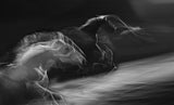 Motion in the light Poster och Canvastavla