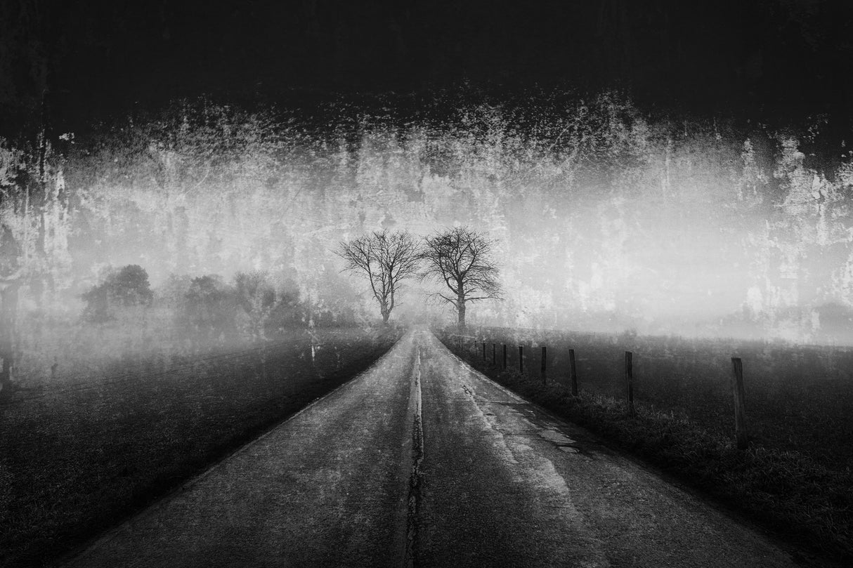 Twin Tree [Reconstructed] Poster och Canvastavla