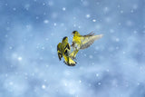 Battle in the snow Poster och Canvastavla