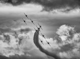 Through the Storm Poster och Canvastavla