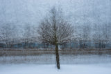 At the Shore of the Frozen River Poster och Canvastavla