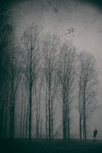 Birdwatcher Poster och Canvastavla