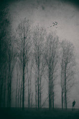 Birdwatcher Poster och Canvastavla