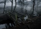 The Styx Crossing Poster och Canvastavla