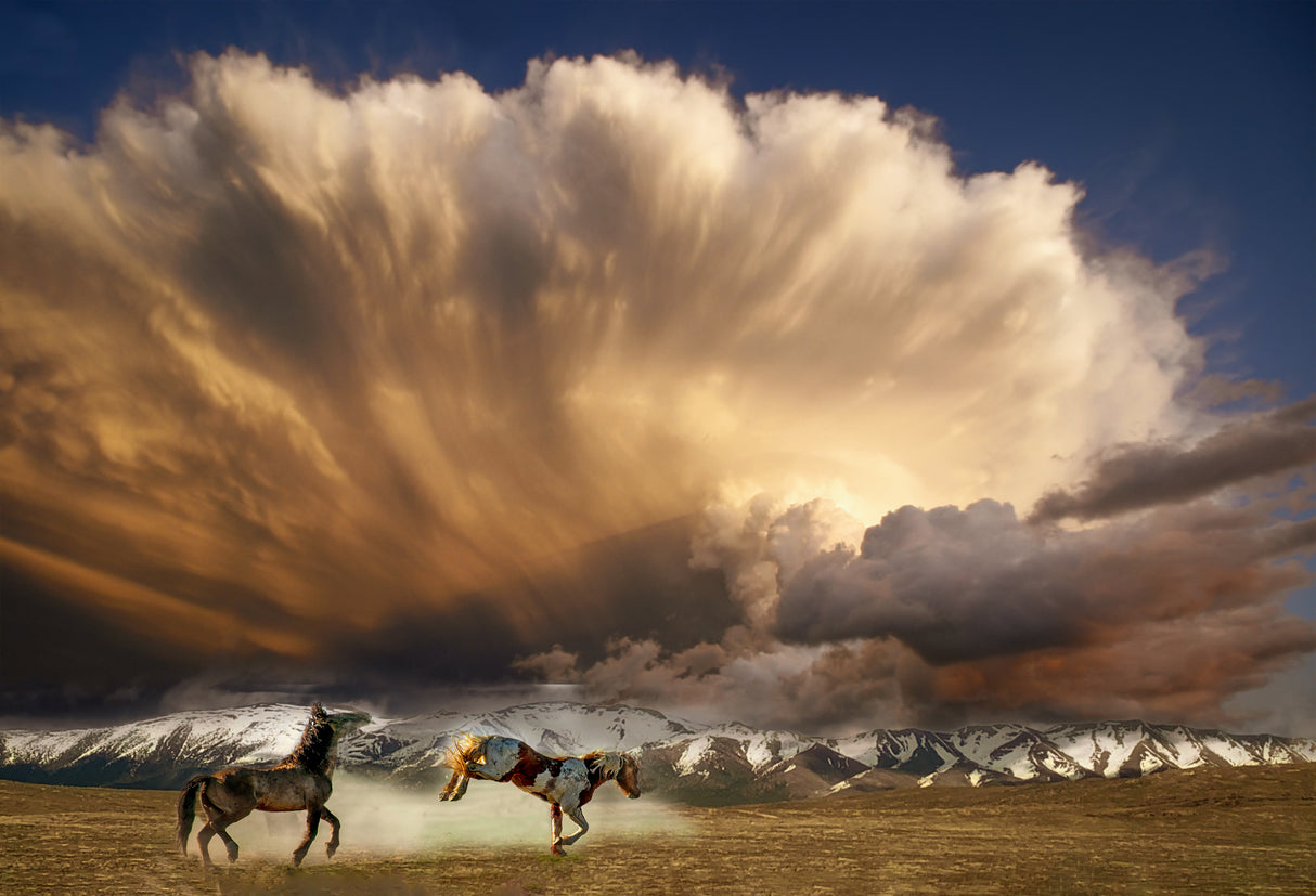 Big Sky Utah Poster och Canvastavla
