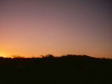Dune Grass Sunset Horizontal Poster och Canvastavla