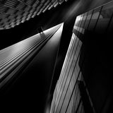 Light contrasts Poster och Canvastavla