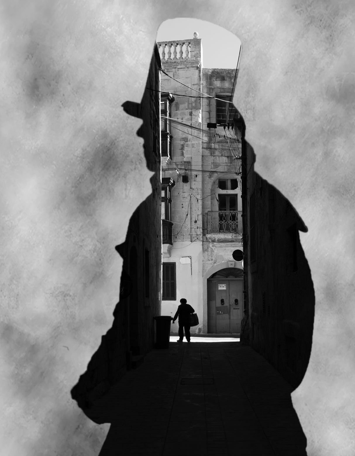 Project Double Exposure 71 Poster och Canvastavla