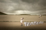 Cotton-Farm Poster och Canvastavla